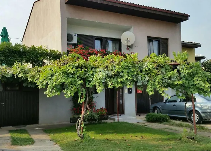Apartment Vir